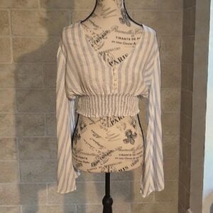 Striped White and Blue Crop Top